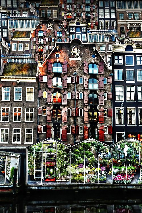 Places I want to go Amsterdam  7