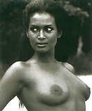 Celebs 04 - More Vintage Zeudi Araya (Miss Ethiopia) 9