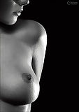 From the Moshe Files: Breasts A Study in Gray 22