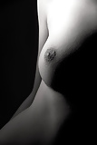From the Moshe Files: Breasts A Study in Gray 1